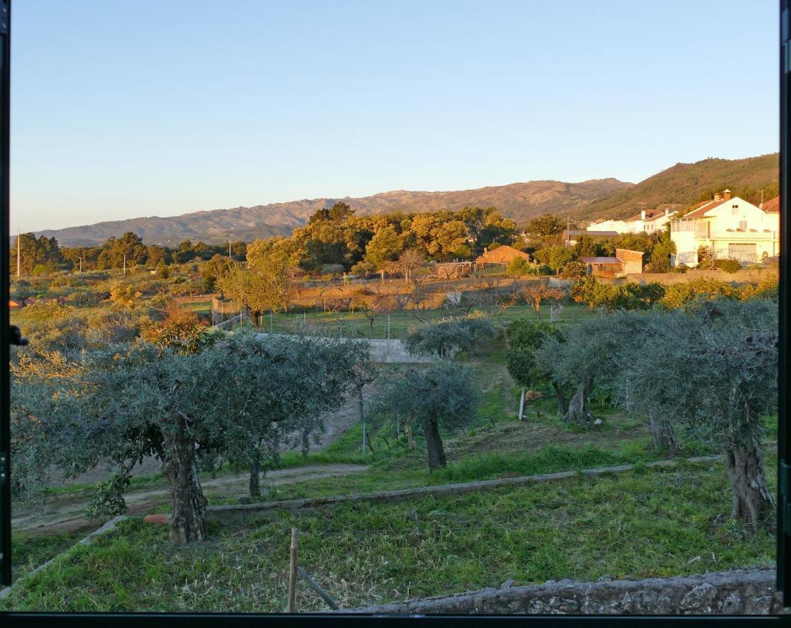 Villa Casa e piscina privada Fundão Esterno foto